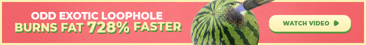 News WordPress Theme